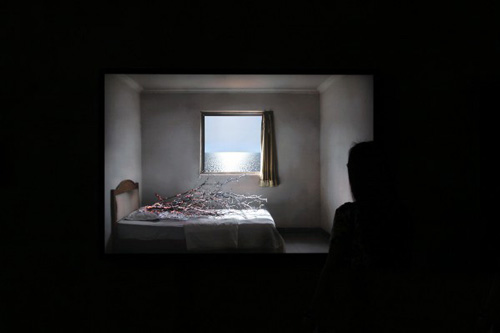 艺术家：刘浩洋，作品名称：《温床 WARM BED》，作品尺寸：120 x 180 cm， 作品材料：摄影灯箱片装裱，创作时间：2014