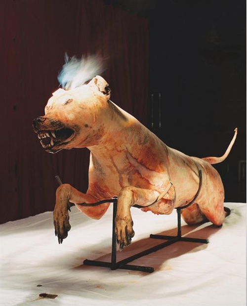 　2000年2月17日，在“艺术大餐”展上孙原、彭禹的装置作品《追杀灵魂》。这件装置用聚光灯透过一大块放大镜照射到一条冰冻的猎犬身上。　