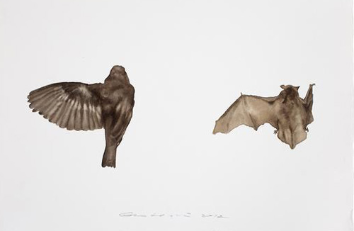 郭鸿蔚 收集者－鸟No.10  Painting is Collecting-- Bird No.10   51x35.5cm  纸上水彩  2012