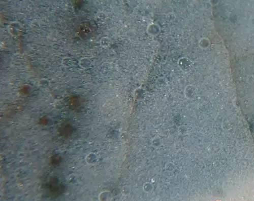 宋汝窑瓷器气泡宋汝窑瓷器气泡