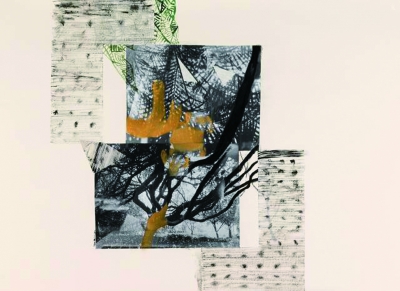 山水生（综合材料） 55×78厘米  2016年  哈比
