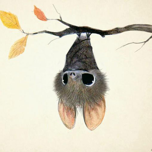 插画师瞬间让看似不温顺的小动物变萌萌哒
