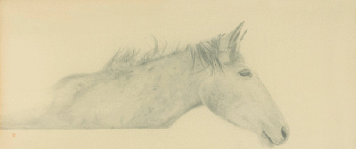 李关关 二分之一忆 60x110cm 绢本 2016年