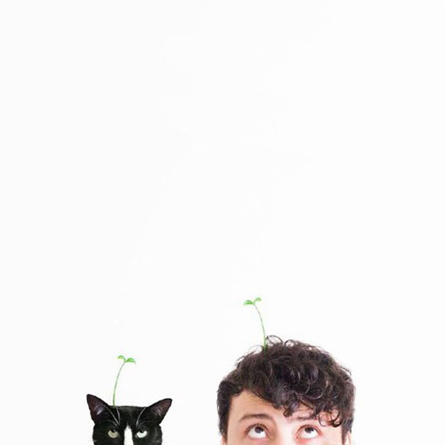 黑白宠物猫的无厘头摄影图