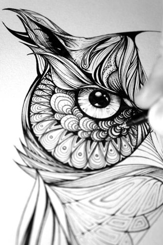 如何手绘出一幅精致的猫头鹰插画图