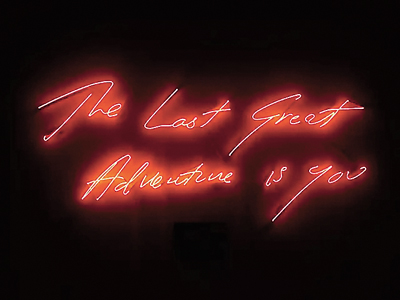   The last great adventure is you （霓虹灯）  翠西·艾敏（英国）