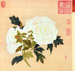 蒋廷锡的牡丹图 蒋廷锡的牡丹图