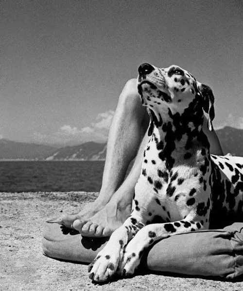 ▲ Herbert List《Portofino》，1936年， 玛格南摄影通讯社