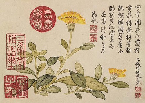 钱维城（1720-1772） 花卉图（局部）　