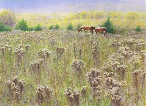   区焕礼 《芳香大地》 76×56cm 水彩  2008