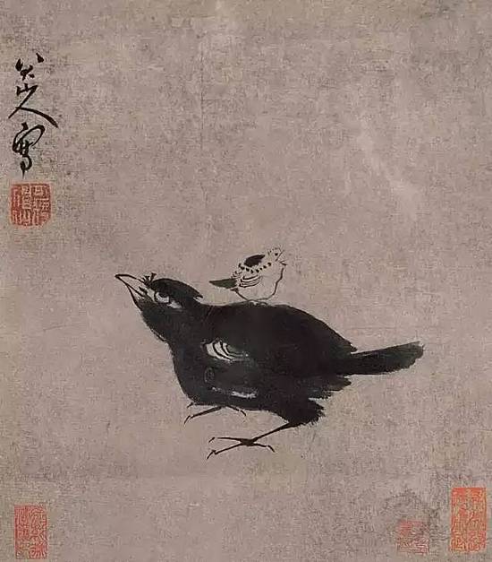 八大山人花鸟画：寥寥数笔 却神情毕具
