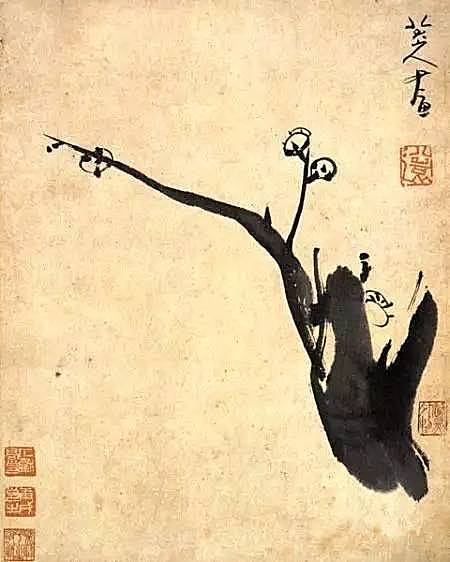 八大山人花鸟画：寥寥数笔 却神情毕具