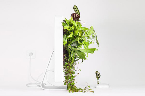 植物从电脑屏幕上长出来