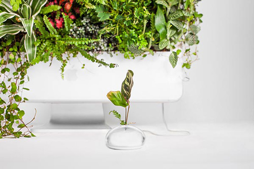 作品‘Macplants’细节图