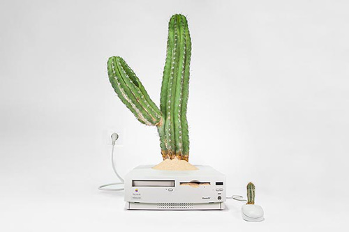 ‘Macactus’ — power macintosh, 1996 | isolatocereus dumortieri