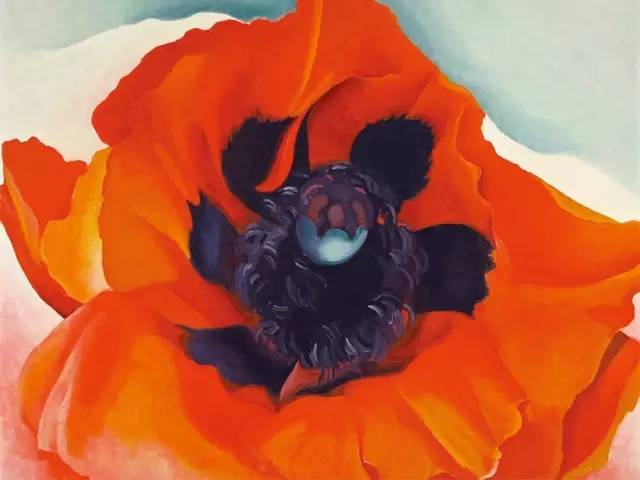   乔治亚·欧姬芙作品：《罂粟花》
