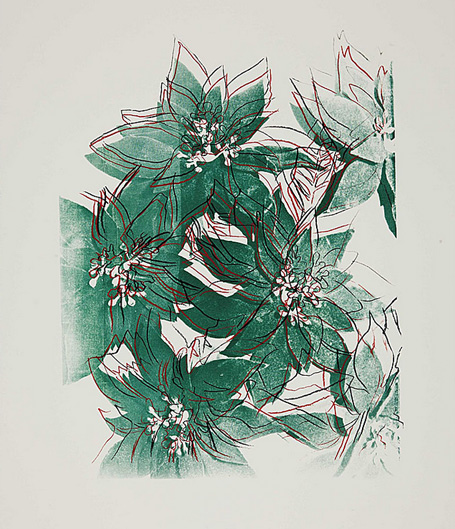 ▲安迪·沃霍尔 Andy Warhol - Poinsettias (F. & S. IIIA.51)