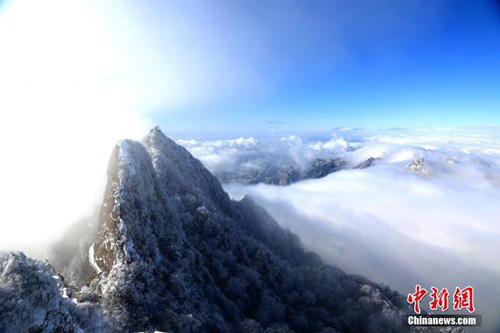 美不胜收！老君山雪后云海奇观
