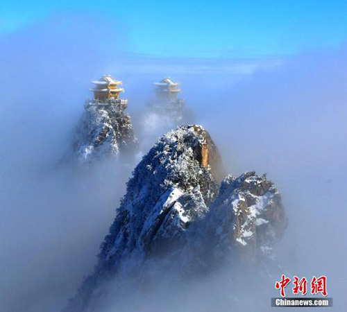 美不胜收！老君山雪后云海奇观