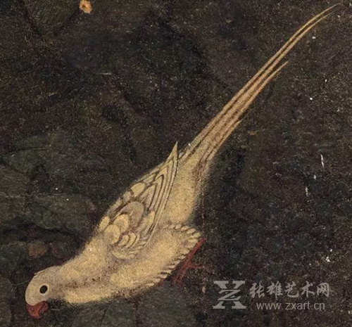 轻巧细腻的鸟儿