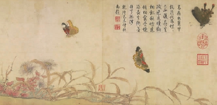   赵昌写生蛱蝶图卷（局部）