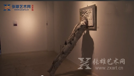 展览作品