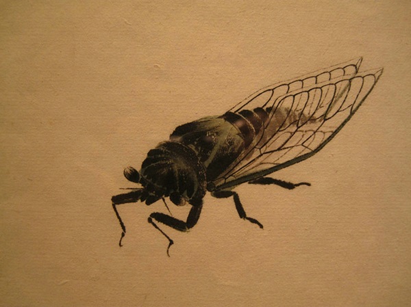   北京画院藏齐白石虫草作品