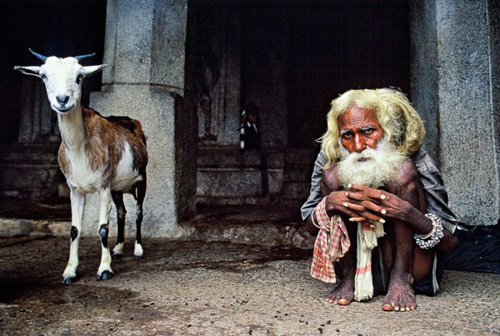 《老人与山羊》　摄影师：Mark Coote（新西兰）