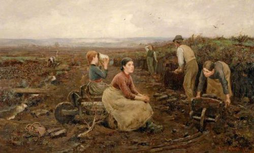        《盖勒韦的泥煤苔藓》，布面油画，1888年