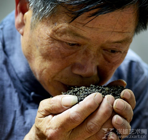 梅记茶行