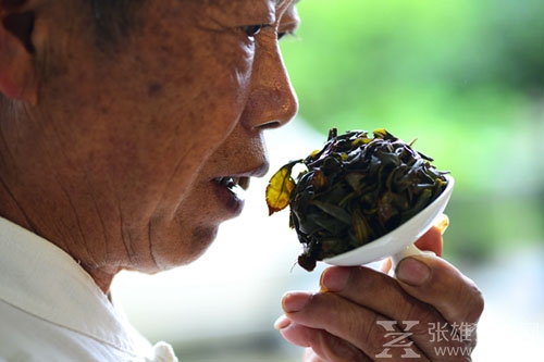 一杯铁观音的韵味 在于“天地人和