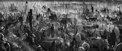 David Yarrow B. 1966，'MANKIND', 2014 成交价格 77,712 USD　