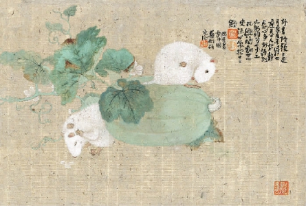   甜瓜  王德芳