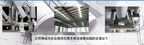 优雅、低调、干练——厦门女企业家支璐佳