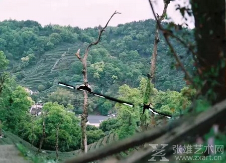工作室窗外  