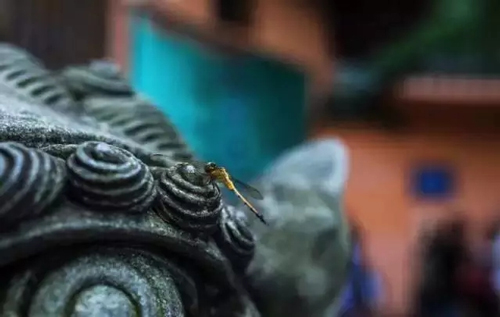 丰子恺：艺术的最高点与宗教相通