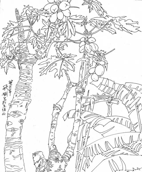 李肇瑜的硬笔线描及作品欣赏