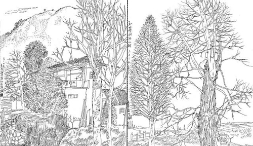 李肇瑜的硬笔线描及作品欣赏