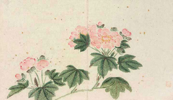   明 沈周，花鸟图（第四开），纸本设色，苏州博物馆藏