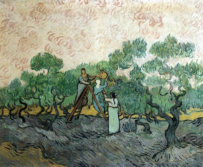   梵高画作「摘橄榄的人」下落不明。据说最后一次出现在瑞士洛桑的仓库中。　图片来源：维基百科