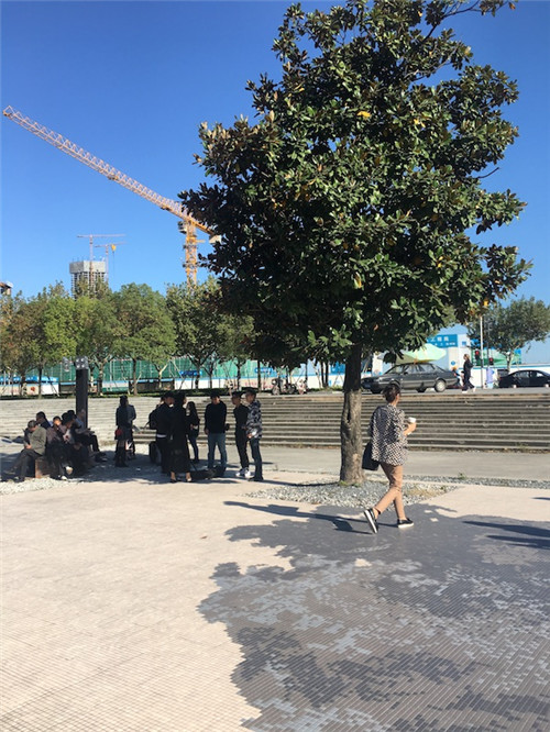 王卫的马赛克空间装置《树影》，西岸艺术与设计博览会现场项目