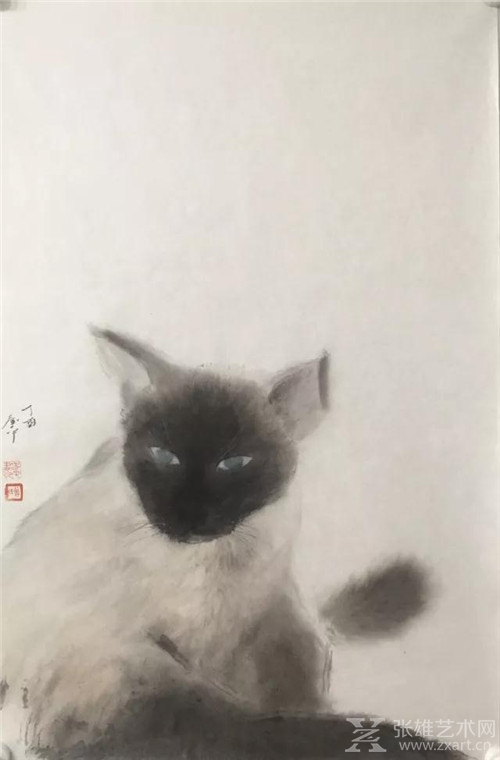 曾春平 肥猫
