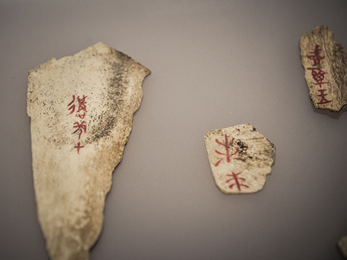 河南安阳，殷墟遗址博物馆内的甲骨文。视觉中国 资料