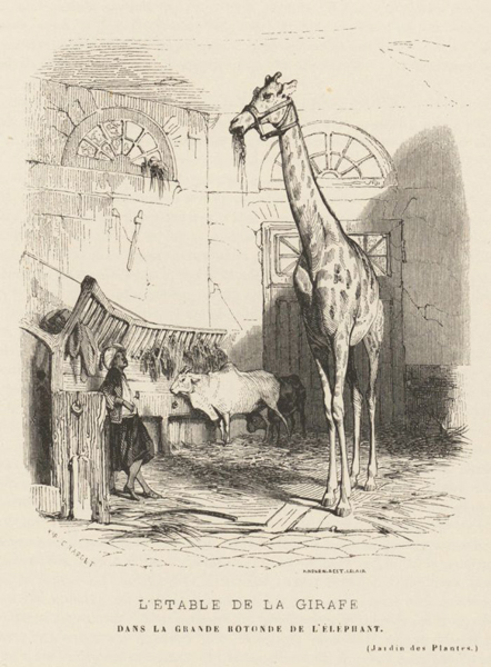 Karl Girardet, “L’étable de la girafe dans la grande rotonde de l’éléphant” (1842) (via Metropolitan Museum of Art/Wikimedia)