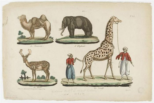 The giraffe with other exotic animals (via Musée national des Arts et Traditions Populaires/Wikimedia)