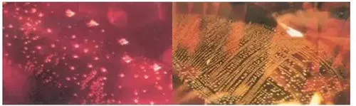   10倍放大镜下： 尖晶石内部成群的八面体晶体 红宝石内部的指纹状包