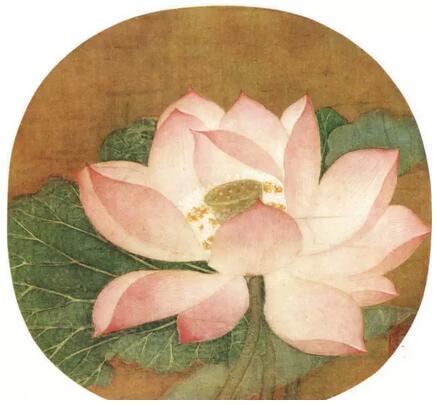 吴炳《出水芙蓉图》 绢本 | 设色 | 23 cm x 25 cm 北京故宫博物院