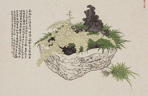 菖蒲系列