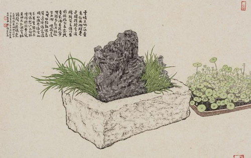 菖蒲系列