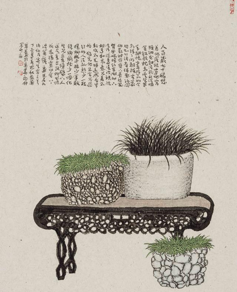 菖蒲系列